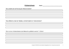 Arbeitsblatt-Höckerschwäne-4.pdf